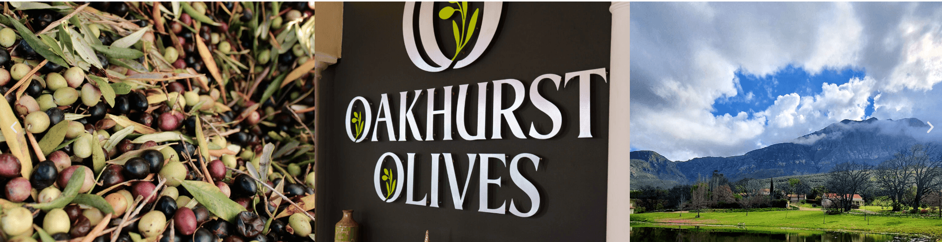 Oakhurst Olives